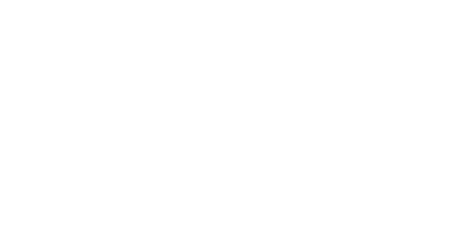 surete investigations services